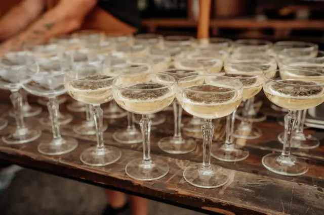 Coupe glasses of bubbles lined up on the bar